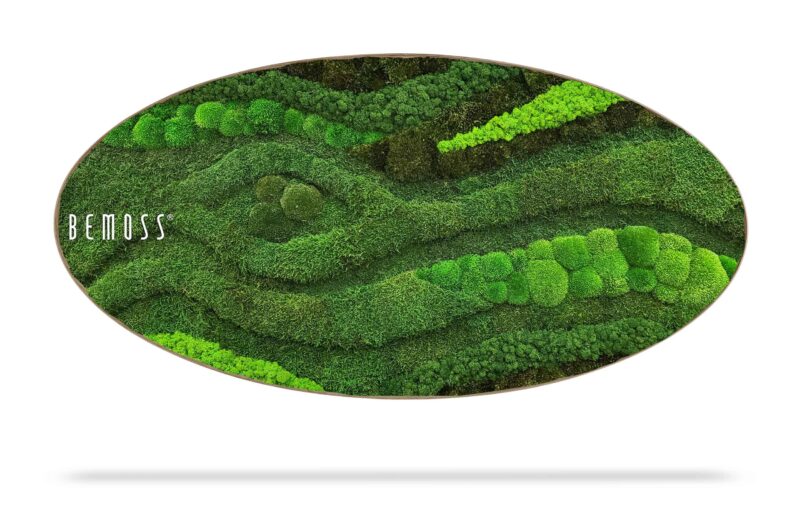 Cuadro de musgo Elipse BEMOSS® ORTHO TOCÓN