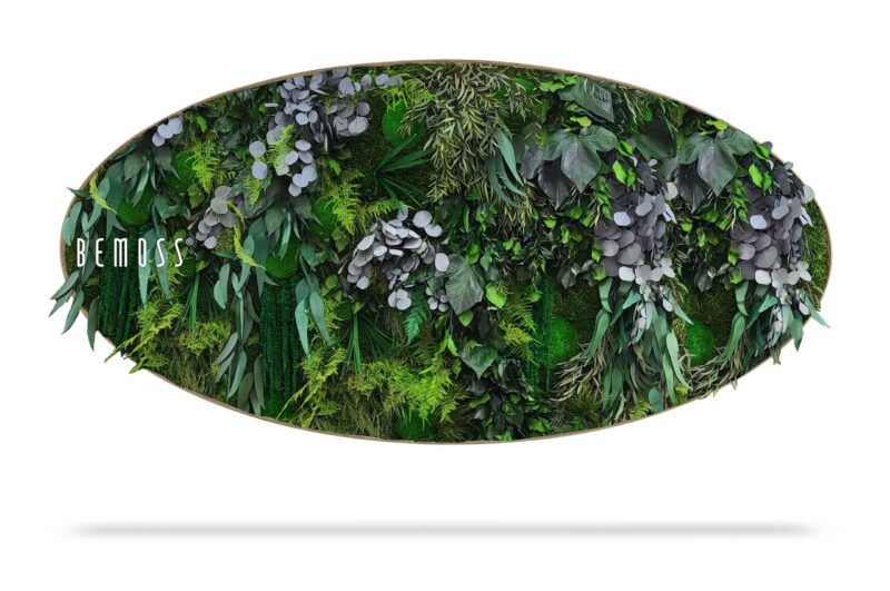 Cuadro de musgo Elipse PLANTAS Parador