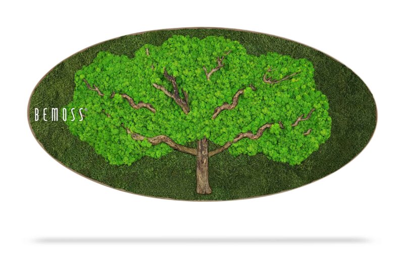 Cuadro de musgo Elipse BEMOSS® ÁRBOL