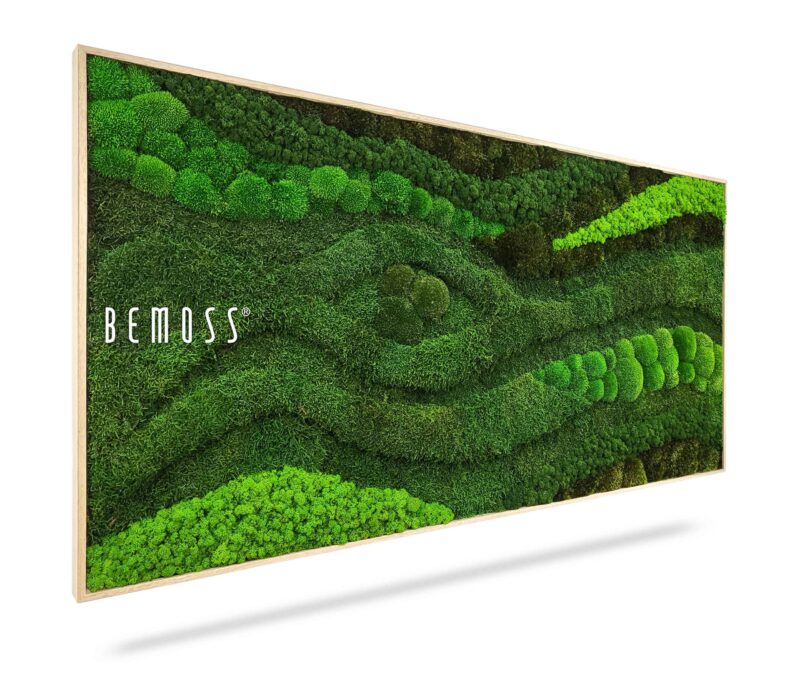 Cuadro de musgo BEMOSS® ORTHO TOCÓN