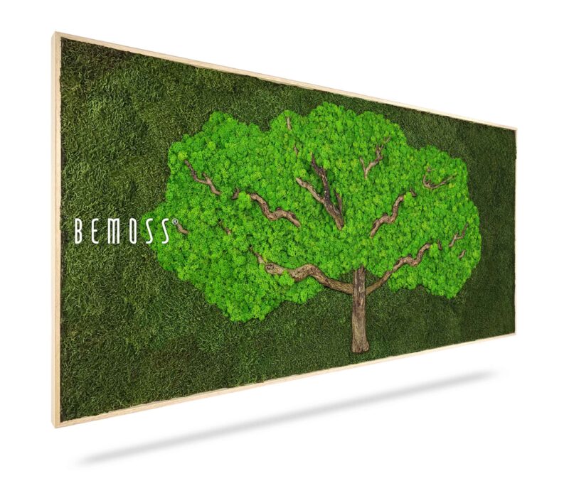 Cuadro de musgo BEMOSS® ÁRBOL
