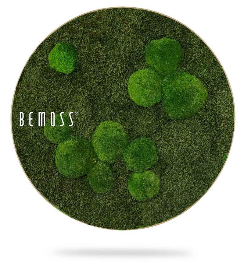 Cuadro de musgo Redondo MUSGO PLANO & MUSGO DE COJÍN Natural Green