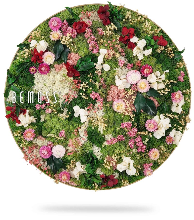Cuadro de musgo redondo PLANTAS Huelma