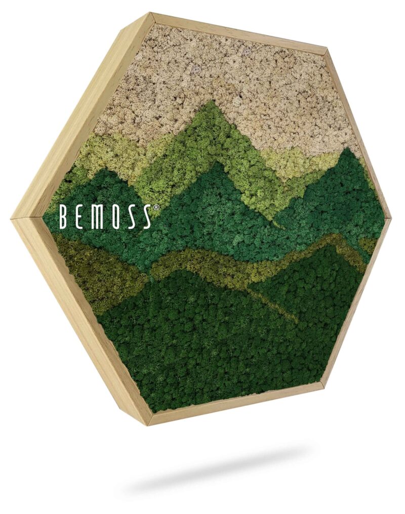 Cuadro de musgo Hexágono BEMOSS® Panorama