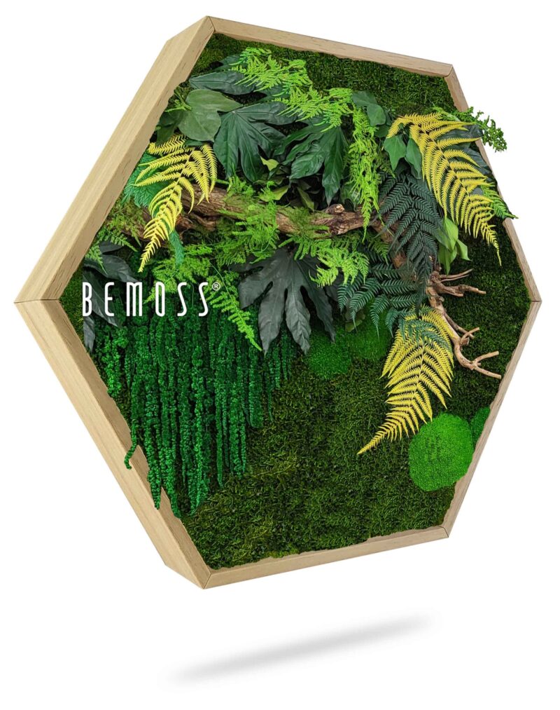Cuadro de musgo Hexágono PLANTAS Nihara