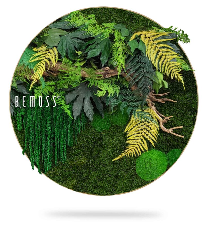 Cuadro de musgo redondo PLANTAS Nihara