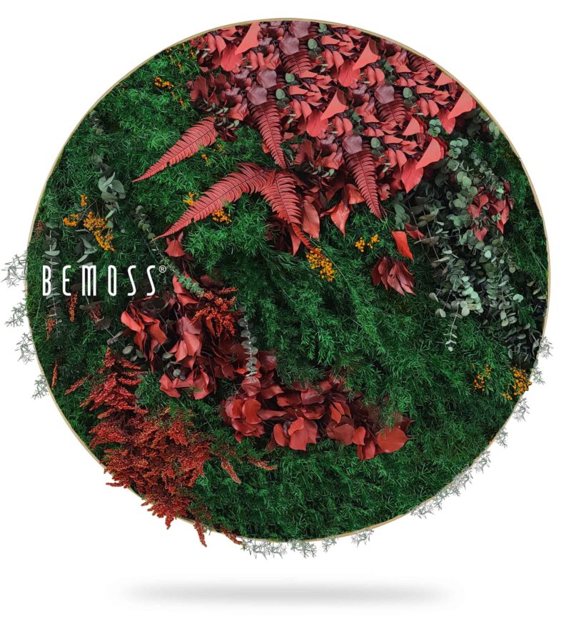 Cuadro de musgo Redondo PLANTAS Zorita