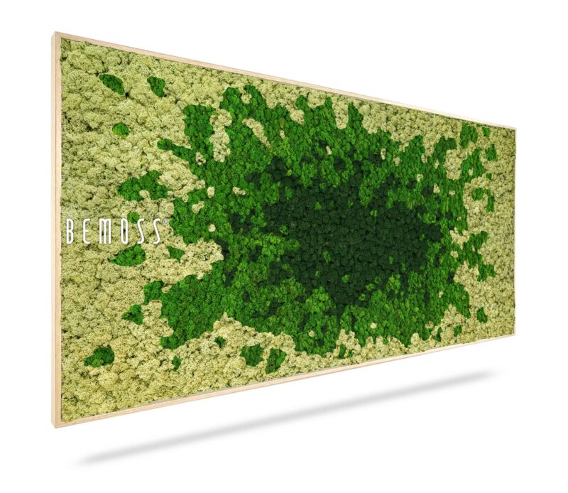 Cuadro de musgo BEMOSS® SPLASH Green