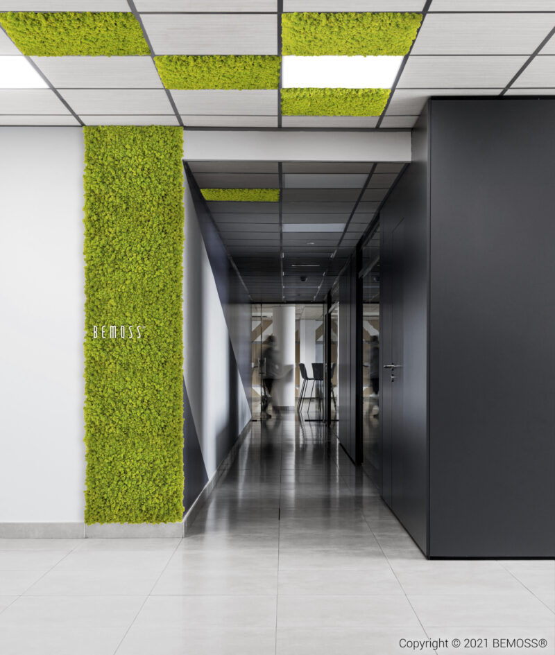 Decoraciones de oficinas con musgos