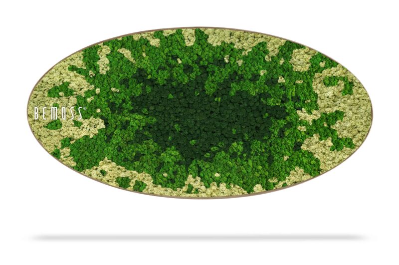 Cuadro de musgo Elipse BEMOSS® SPLASH Green