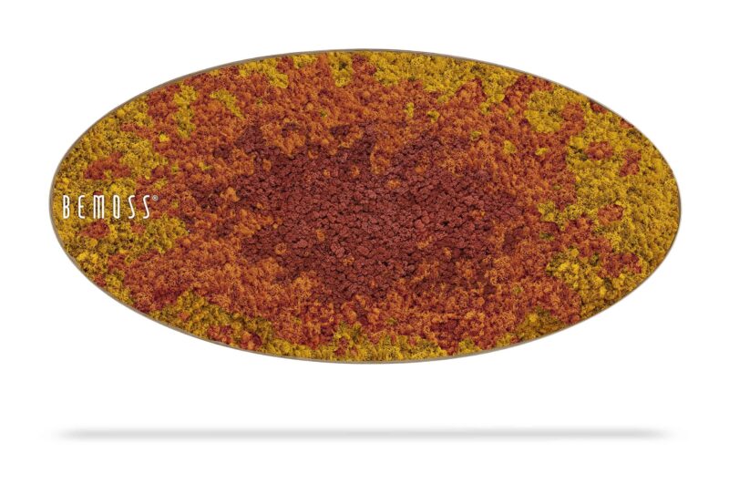Cuadro de musgo Elipse BEMOSS® SPLASH Sienna
