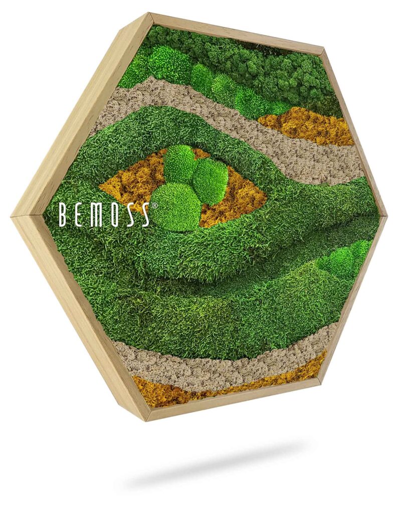 Cuadro de musgo Hexágono BEMOSS® ORTHO TOCÓN Autumn