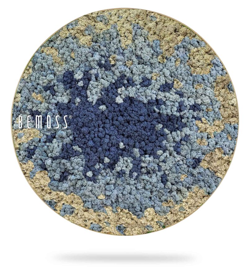 Cuadro de musgo redondo BEMOSS® SPLASH