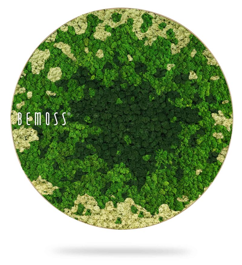 Cuadro de musgo Redondo BEMOSS® SPLASH Green