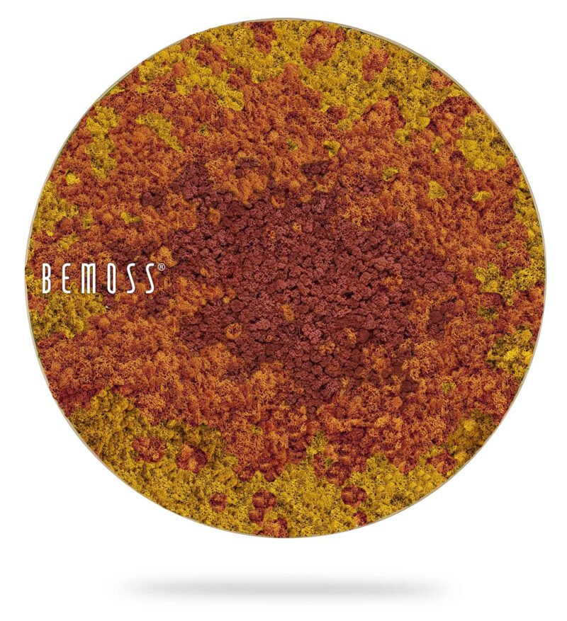 Cuadro de musgo redondo BEMOSS® SPLASH Sienna