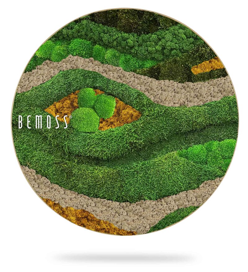 Cuadro de musgo redondo BEMOSS® ORTHO TOCÓN Autumn