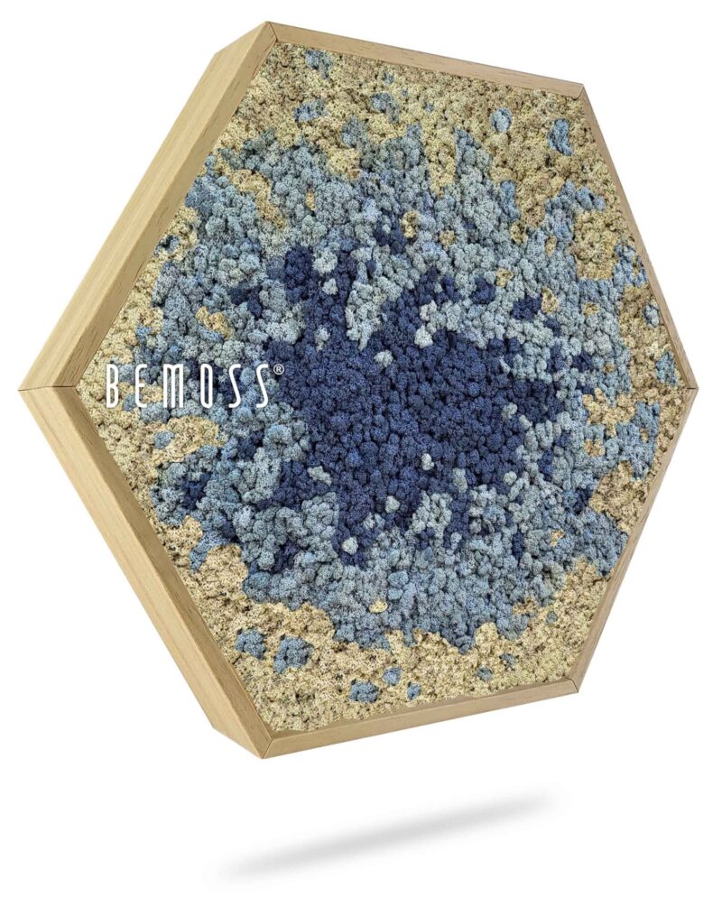 Cuadro de musgo Hexágono BEMOSS® ORTHO SPLASH