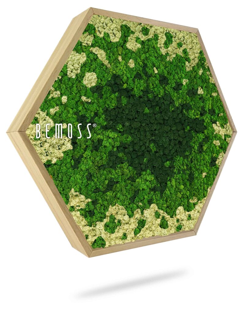 Cuadro de musgo Hexágono BEMOSS® ORTHO SPLASH Green