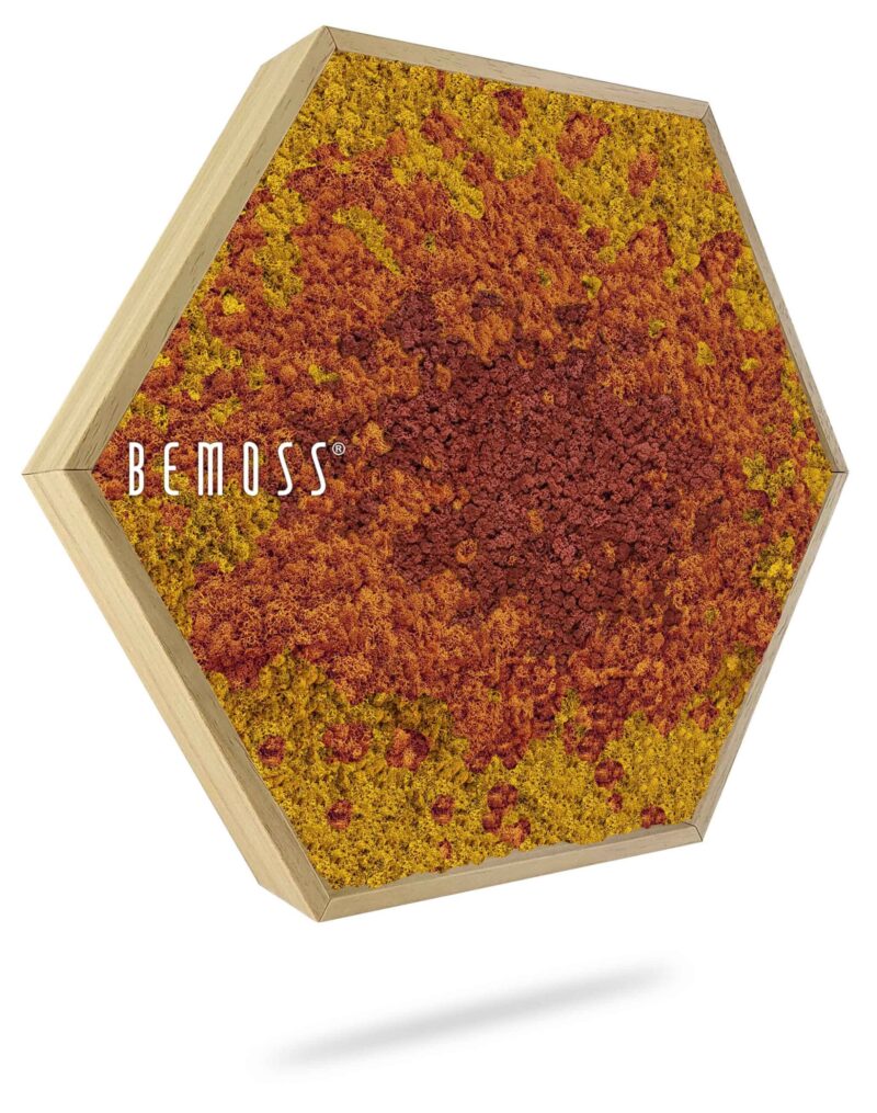 Cuadro de musgo Hexágono BEMOSS® ORTHO SPLASH Sienna