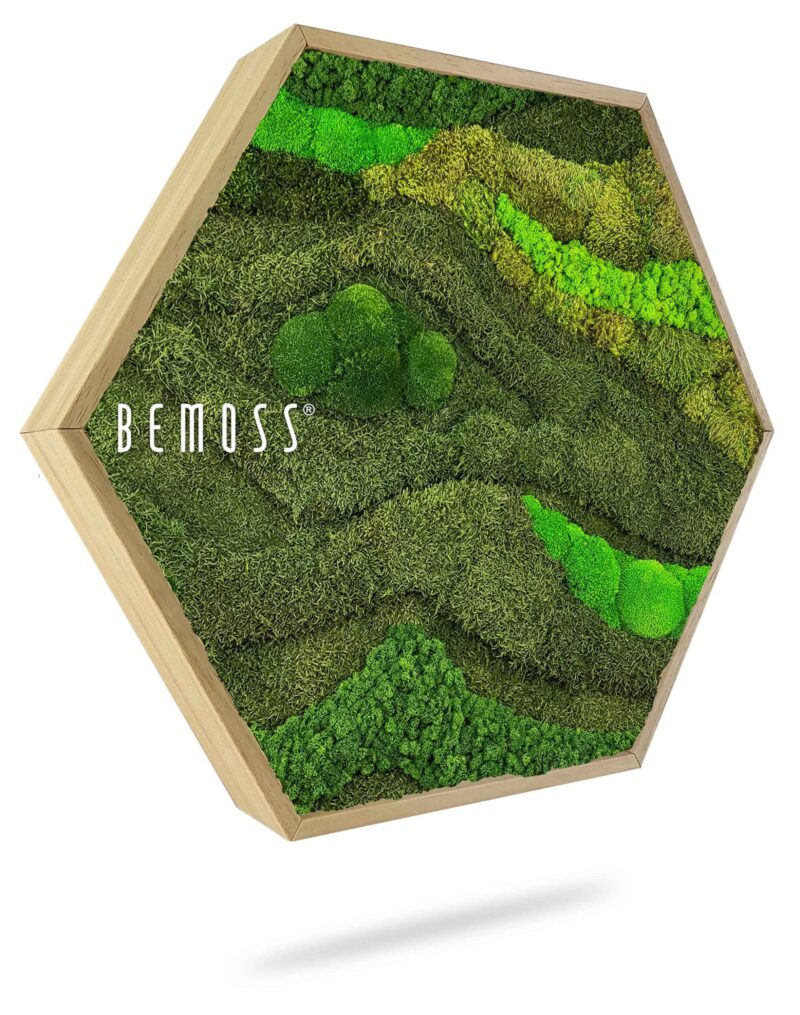Cuadro de musgo Hexágono BEMOSS® ORTHO TOCÓN