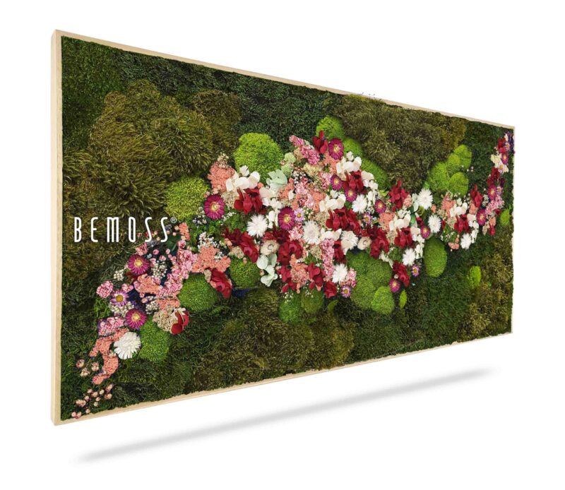 Cuadro de musgo PLANTAS Acebo PINK