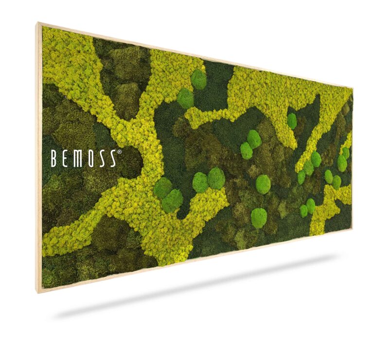 Cuadro de musgo BEMOSS® ORTHO BORJA mono