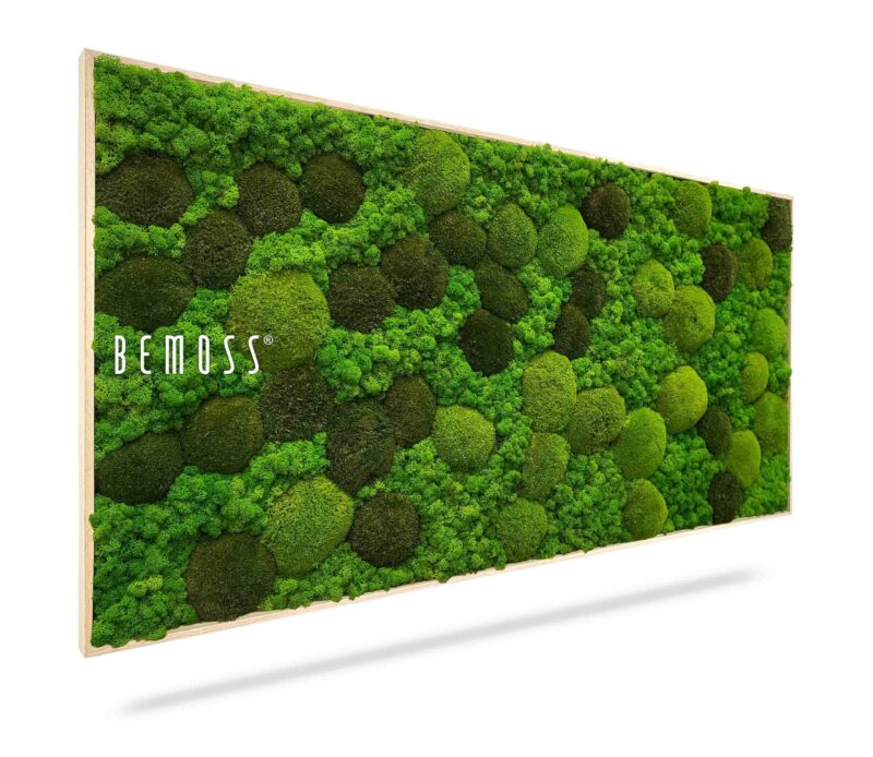 Cuadro de musgo BEMOSS® ORTHO MONETO