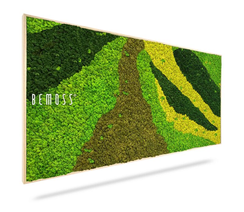 Cuadro de musgo BEMOSS® ORTHO CARROT