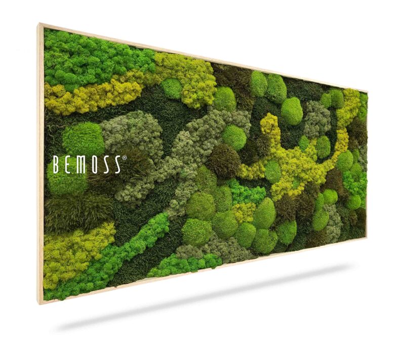 Cuadro de musgo BEMOSS® ORTHO TELDE