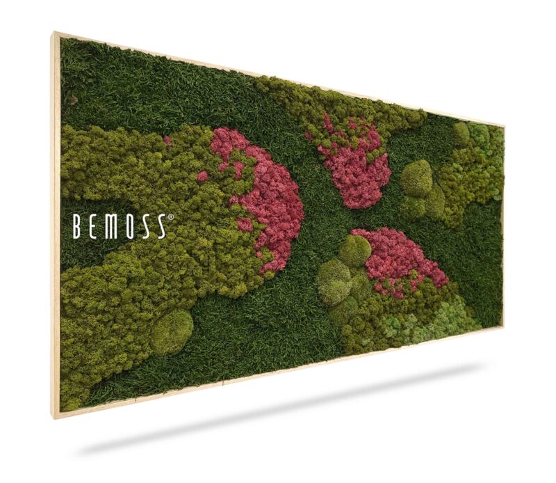 Cuadro de musgo BEMOSS® ORTHO BURGUNDY
