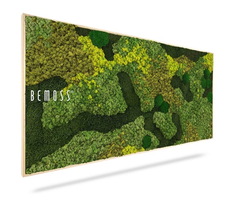 Cuadro de musgo BEMOSS® ORTHO MEDIUM