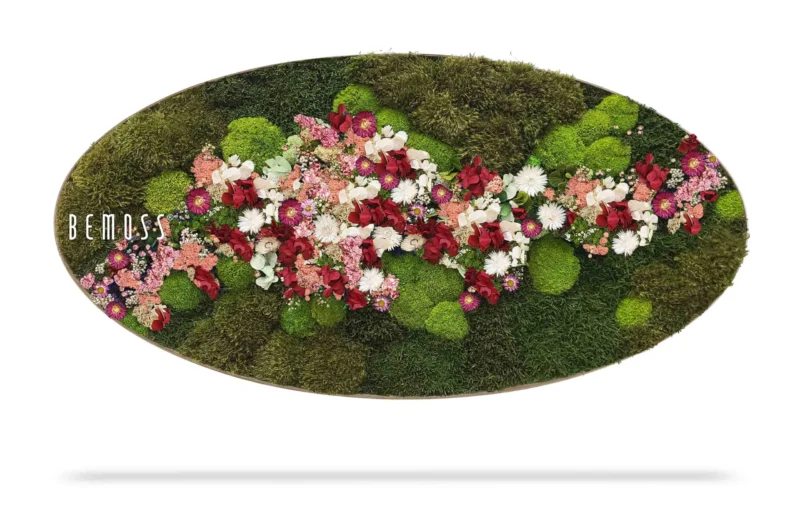 Cuadro de musgo Elipse PLANTAS Acebo PINK