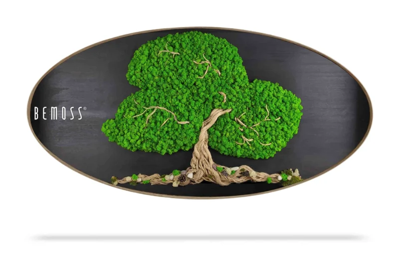 Cuadro de musgo Elipse BEMOSS® ÁRBOL ARLES