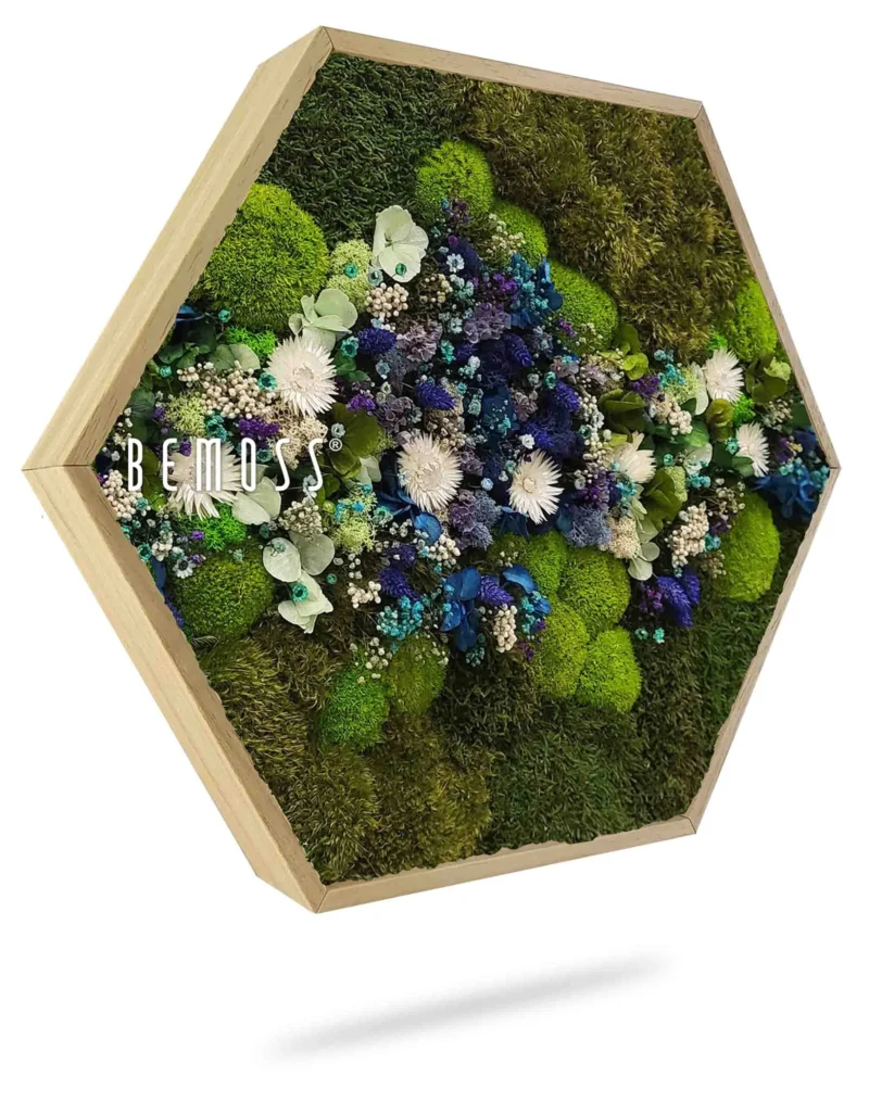 Cuadro de musgo Hexágono PLANTAS Acebo BLUE