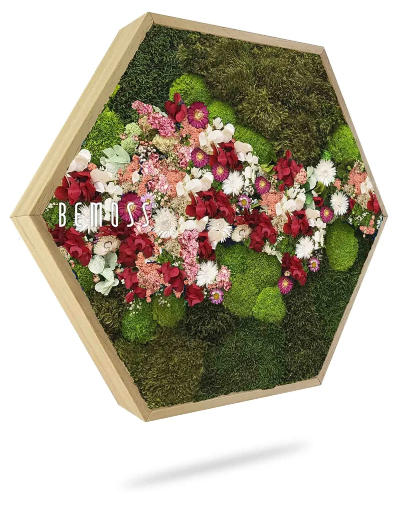 Cuadro de musgo Hexágono PLANTAS Acebo PINK