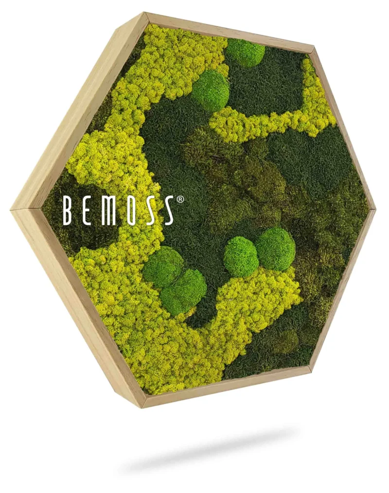 Cuadro de musgo Hexágono BEMOSS® ORTHO BORJA mono