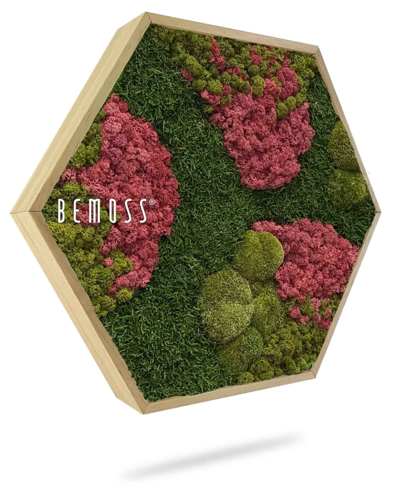 Cuadro de musgo Hexágono BEMOSS® ORTHO BURGUNDY