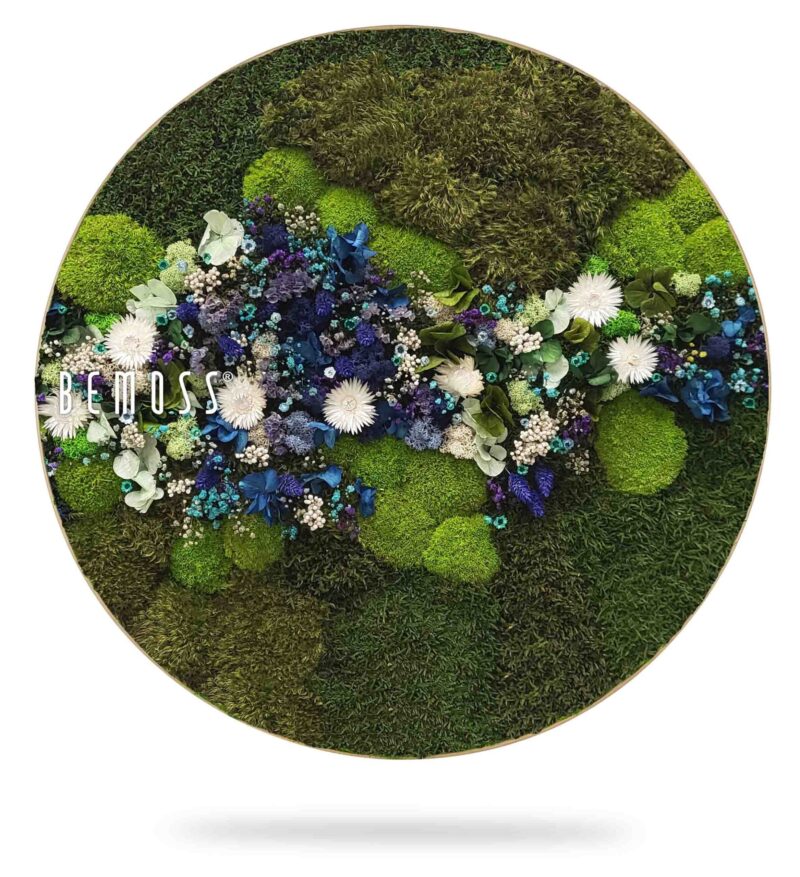 Cuadro de musgo Redondo PLANTAS Acebo BLUE