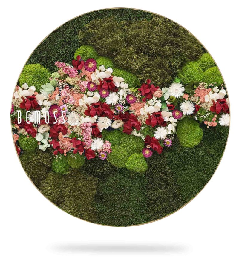 Cuadro de musgo Redondo PLANTAS Acebo PINK