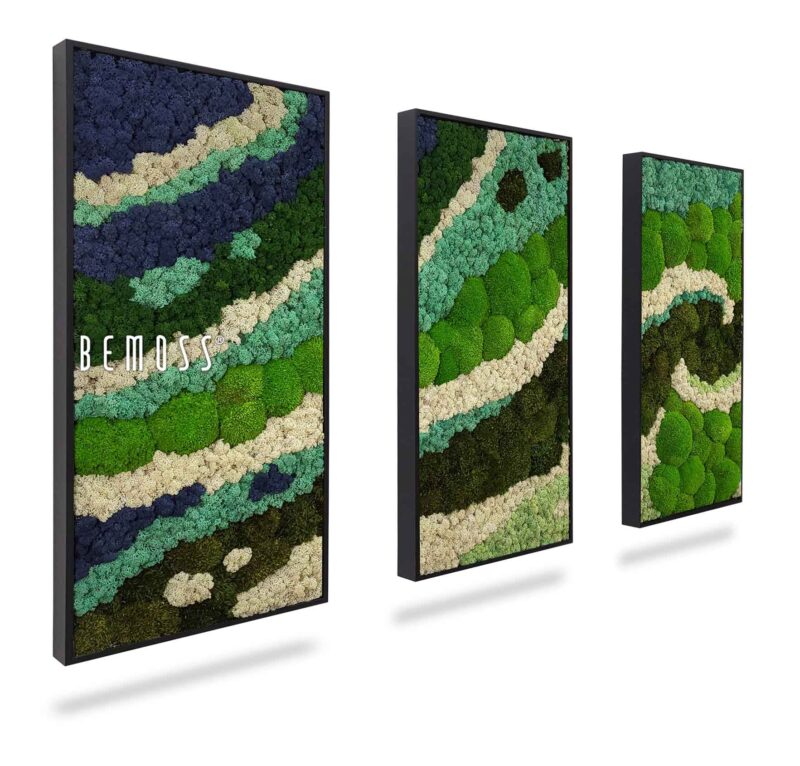 Set de cuadro de musgo BEMOSS® ORTHO SWIRL