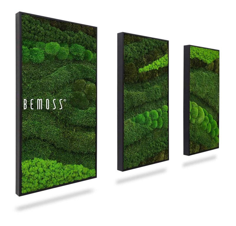 Set de cuadros de musgo BEMOSS® ORTHO TOCÓN
