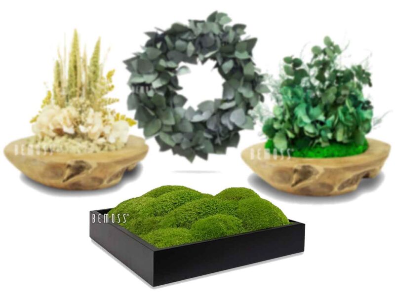 Decoraciones con musgo