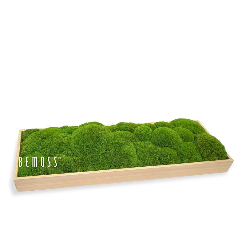 Decoración de mesa de musgo MUSGO DE COJÍN Light