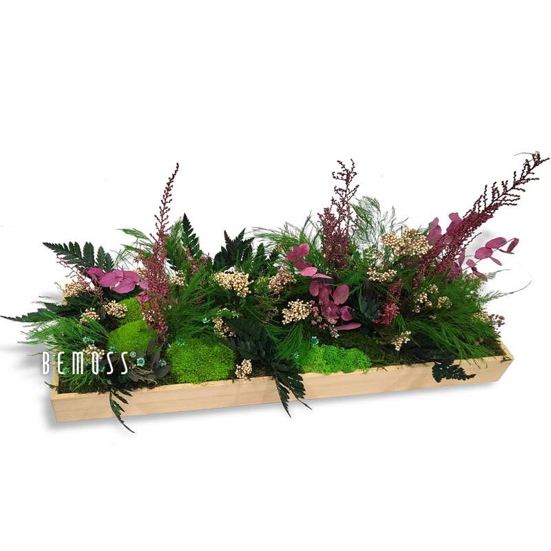 Decoración de mesa de musgo PLANTAS Galicia