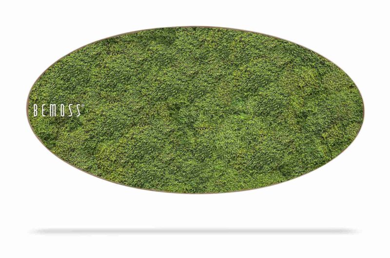 Cuadro de musgo Elipse MUSGO PLANO Light