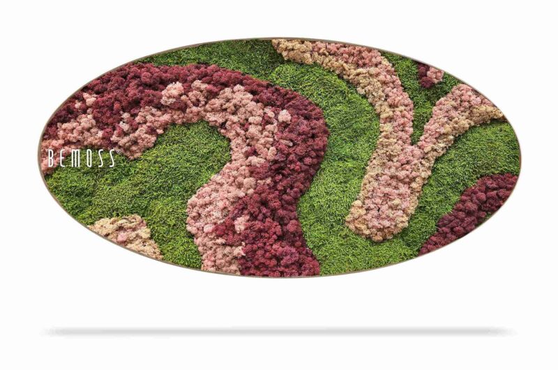 Cuadro de musgo Elipse BEMOSS® ORTHO ARROSA