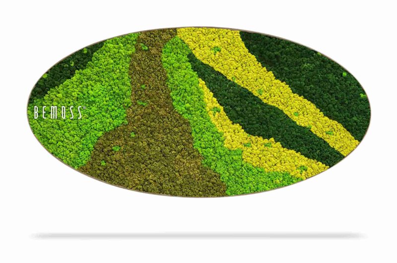 Cuadro de musgo Elipse BEMOSS® ORTHO CARROT