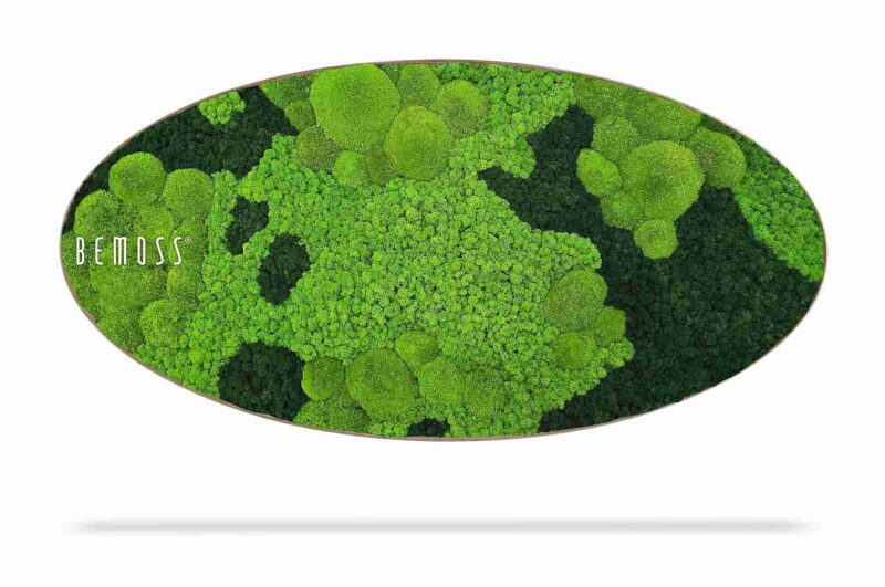 Cuadro de musgo Elipse BEMOSS® ORTHO CORCON