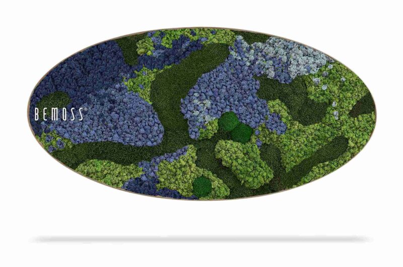 Cuadro de musgo Elipse BEMOSS® ORTHO OMBRE Blue