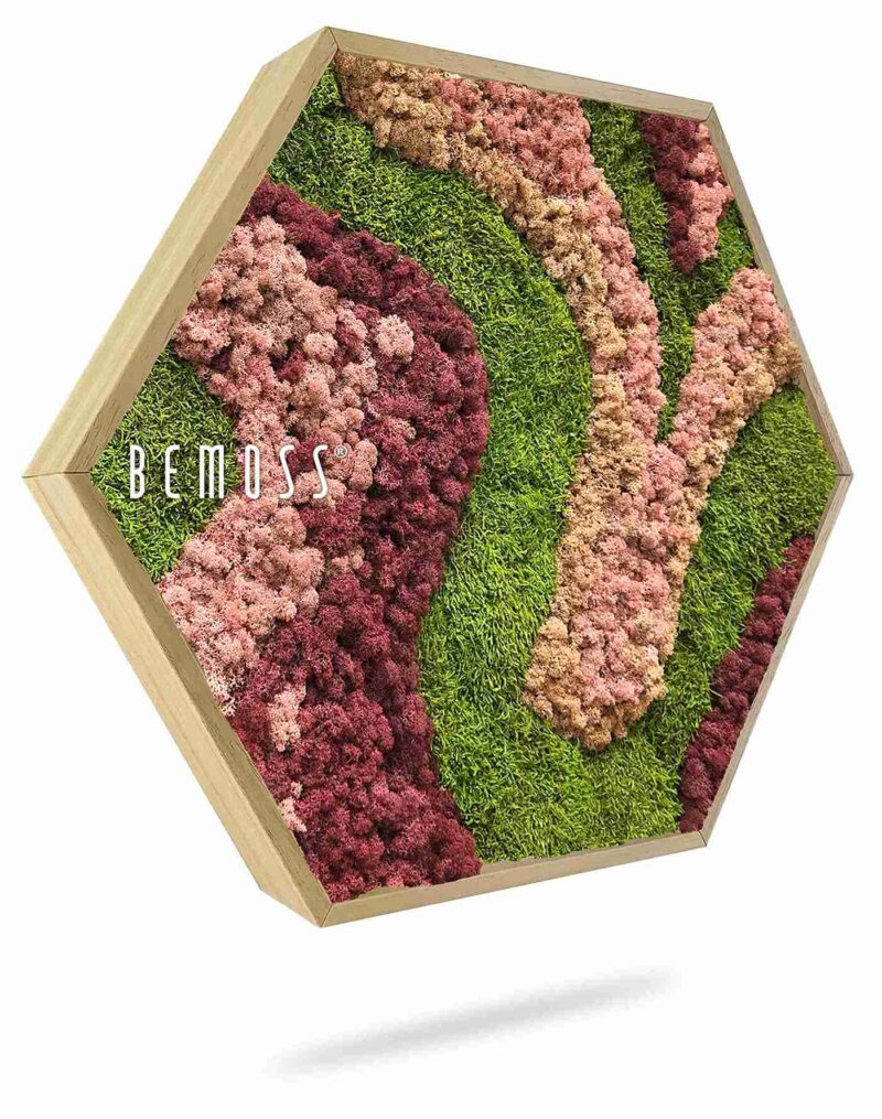 Cuadro de musgo Hexágono BEMOSS® ORTHO ARROSA
